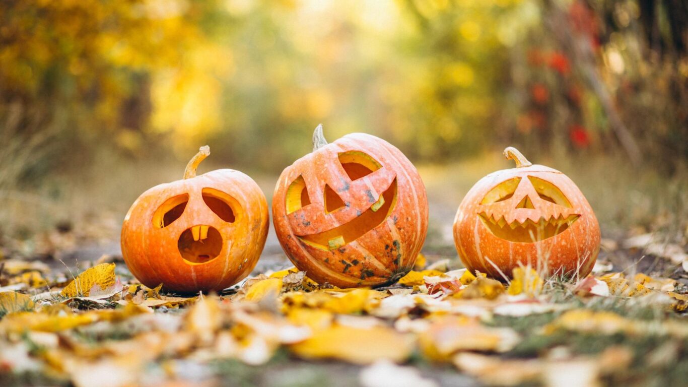 Halloween Pumpkins Ballykisteen