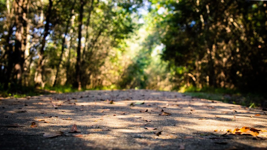 Walking Trail