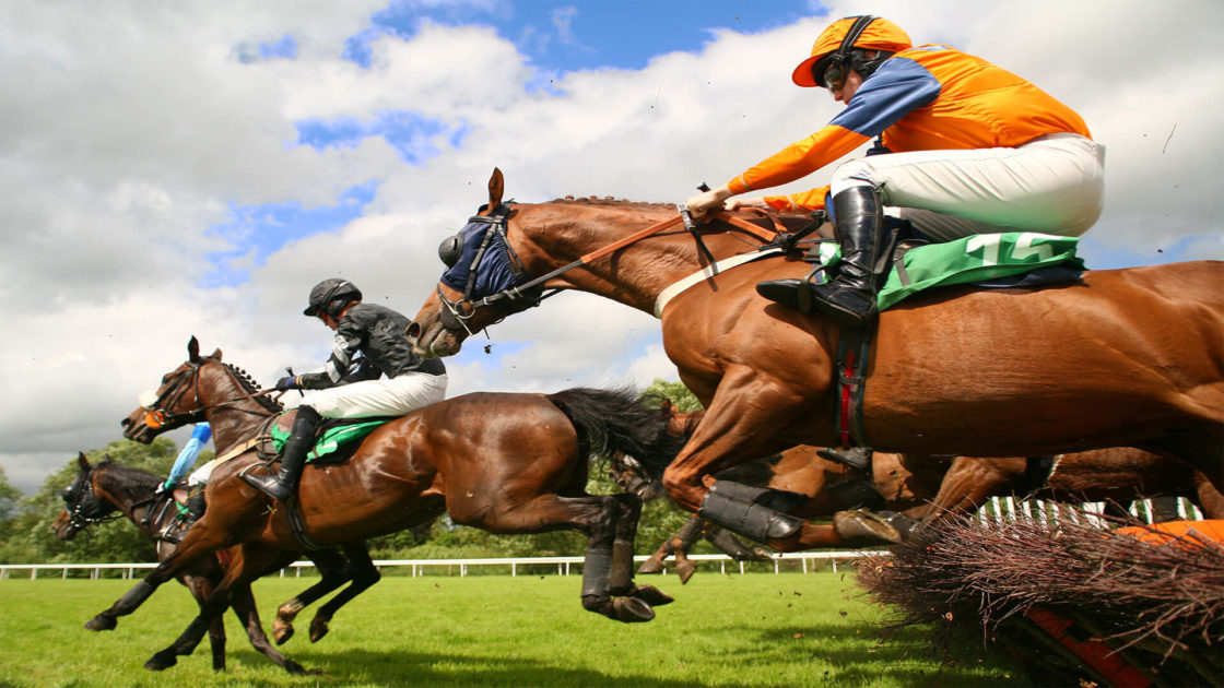 Horse Racecourse In Tipperary
