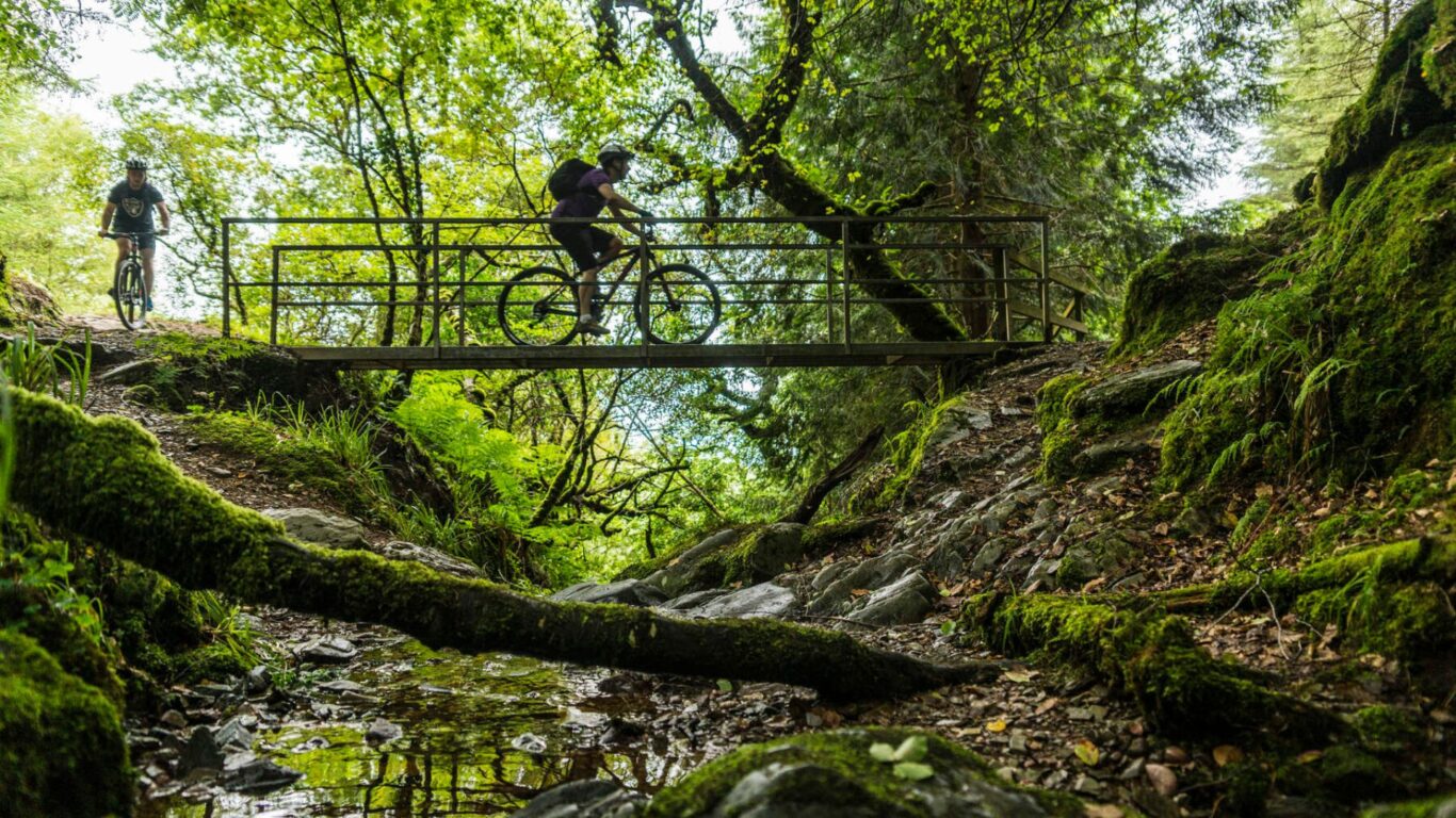 Ballyhoura Mountain Biking 2