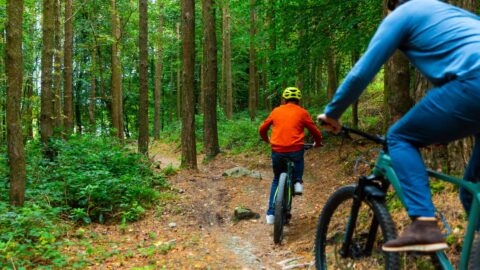 Ballyhoura Mountain Biking 4