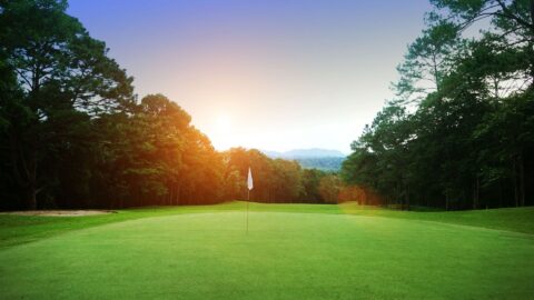 golf stock 1