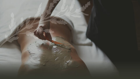 Spa-Web-6